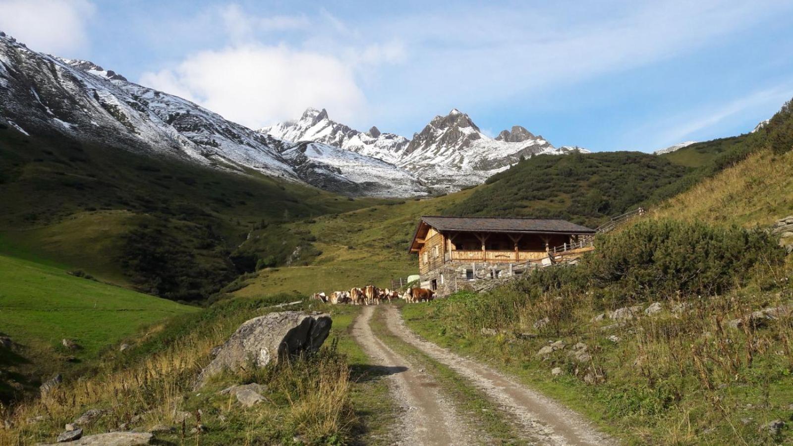 Mooserhof กัมโปตูเรส ภายนอก รูปภาพ