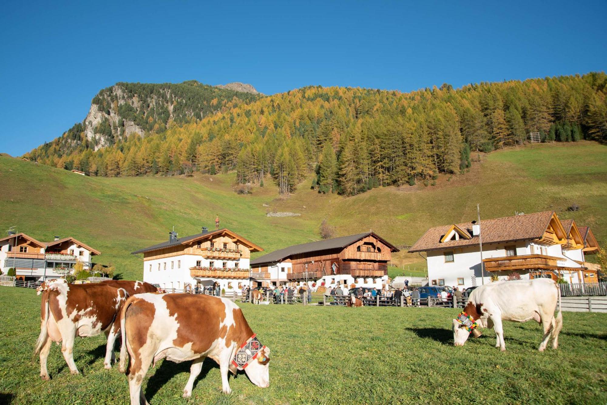 Mooserhof กัมโปตูเรส ภายนอก รูปภาพ